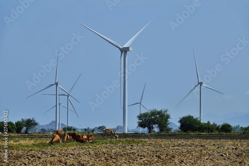 Wallpaper Mural landscape of wind turbines field Torontodigital.ca