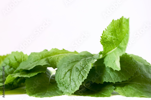 Fresh organic young leaves spring edible greens from home garden isolated white background close up