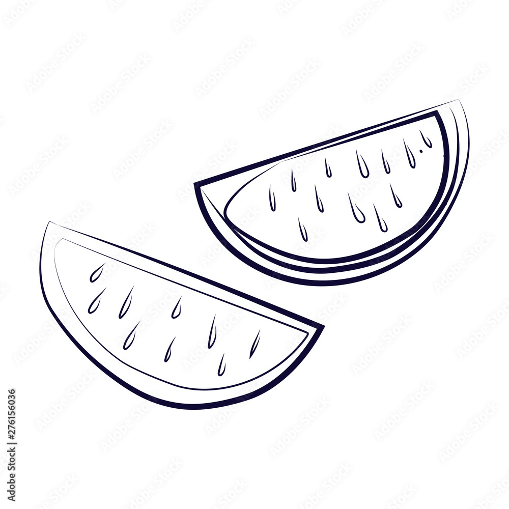 Hand drawn lime. simple engraving style illustration Hand drawn lime. simple engraving style illustration