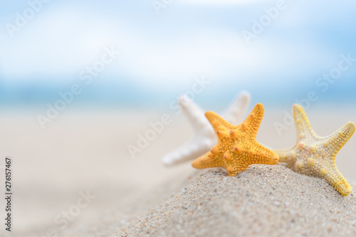 Closed up on colorful starfish beautiful sea shells on the seashore with blue sky background. Vacation and summer conceptual.