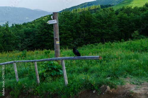 Fototapeta Naklejka Na Ścianę i Meble -  bieszczady panorama połonin