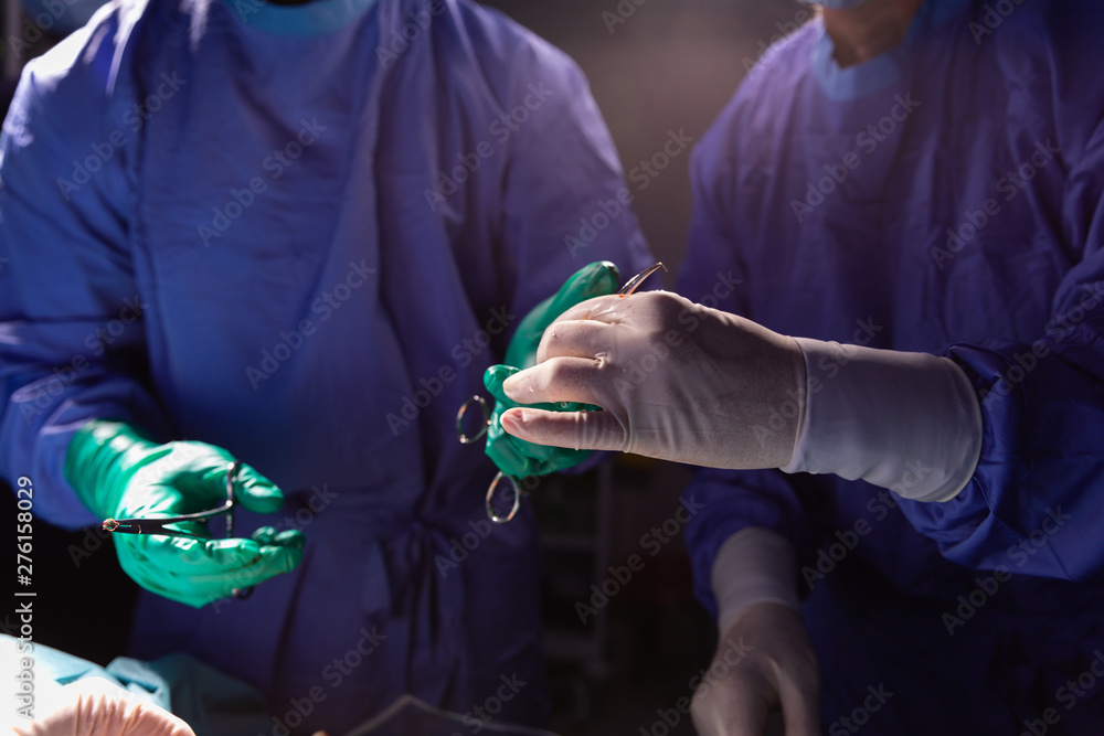 Surgeon Using Forceps Surgeon holding forceps while another holding scissors during surgery ...