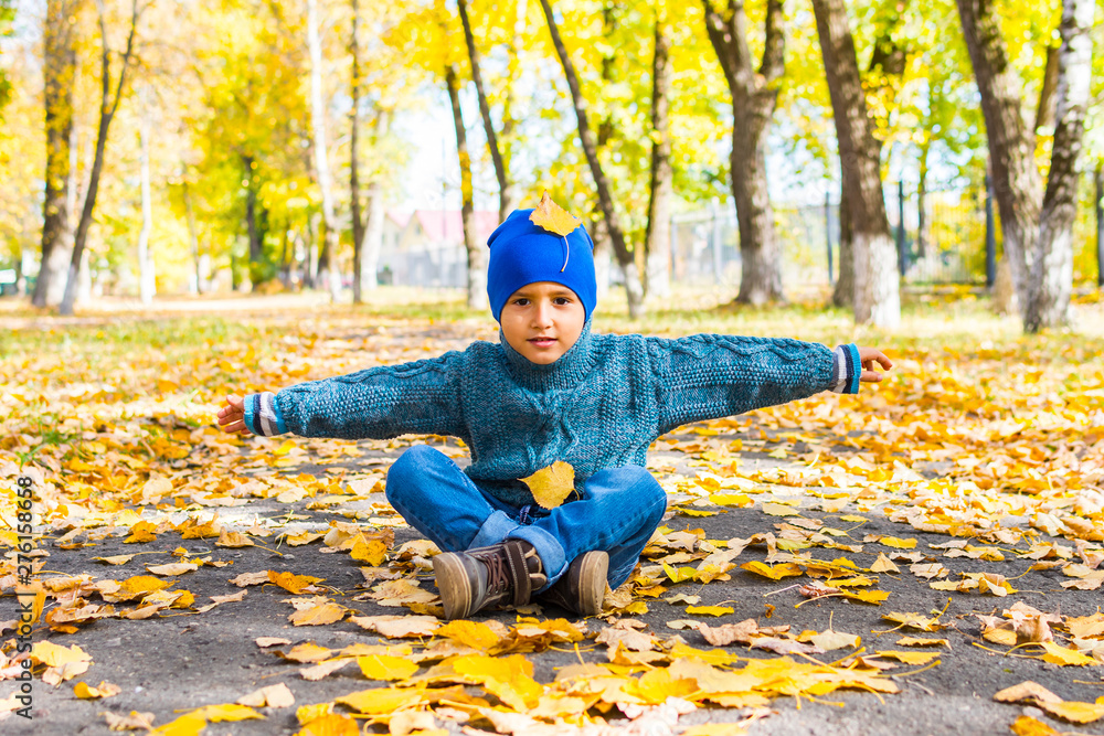 boy throws autumn leaves in the Park boy throws autumn leaves in the Park