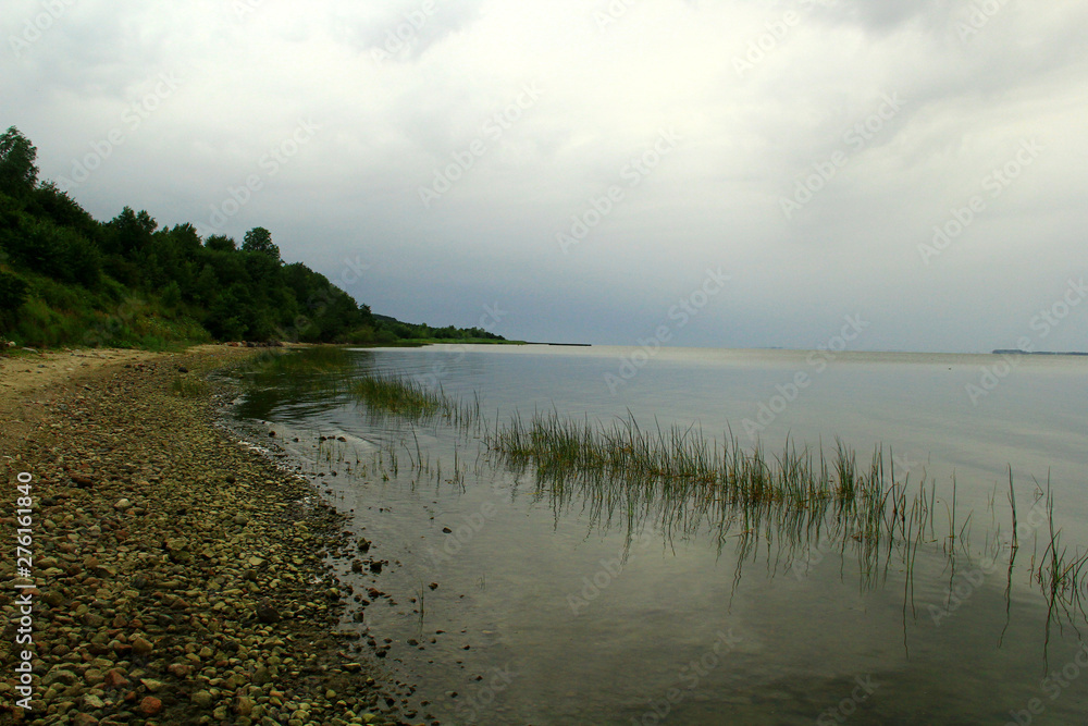 Небольшая трава в воде на берегу Балтийского моря