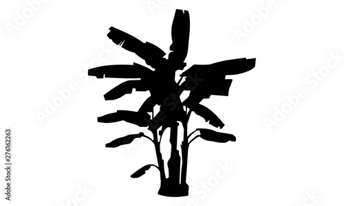 vector of banana tree silhouette