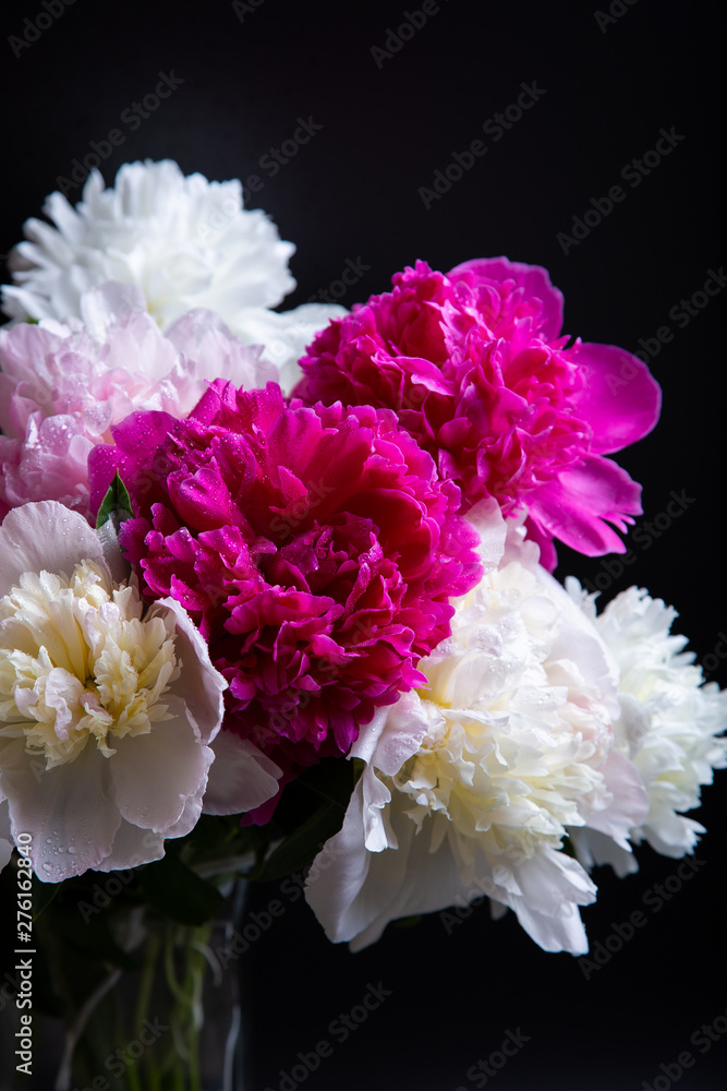 Bouquet of peonies with water drops. Black background. Close-up, selective focus. Bouquet of peonies with water drops. Black background. Close-up, selective focus.
