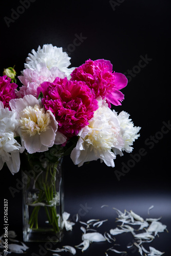 Bouquet of peonies with water drops. Black background. Close-up, selective focus.