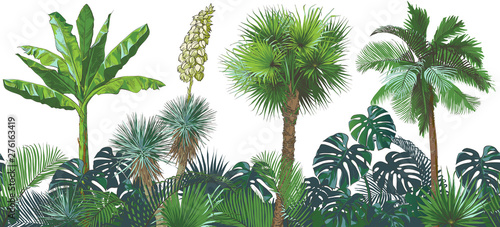 Fototapeta Naklejka Na Ścianę i Meble -  Vector Tropical palms, plants, leaf, foliage, monstera