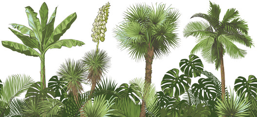 Fototapete Vintage botanische Landschaft Tropische Palmenblätter Monstera Vektor Grün  © mozart3737