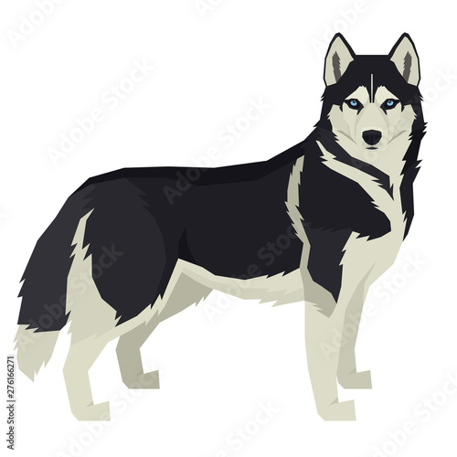Vector illustration Dog collection Siberian Husky Geometric style Isolated object