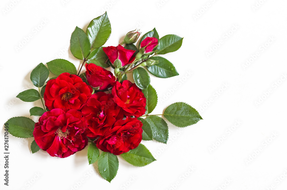 rosebud, branches and leaves on white background. flat position space is the instance of the form above rosebud, branches and leaves on white background. flat position space is the instance of the form above