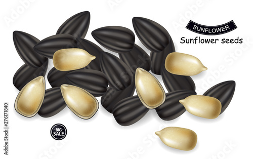 Sunflower seeds Vector realistic. Darkl background. 3d illustrations