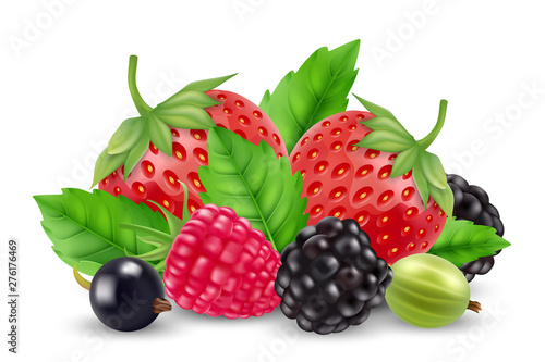 Realistic berries vector. Strawberry, raspberry, goose berry, blackberry isolated on white background. Berry of pile, raspberry and strawberry, blackberry and blueberry illustration