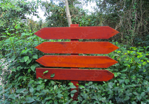 Wooden signposts in the park among trees and bushes