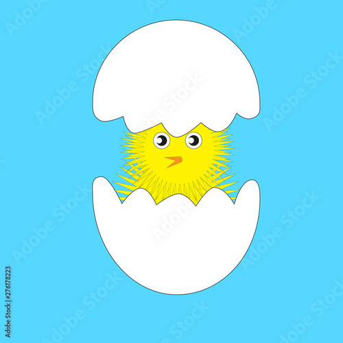 The chicken hatched from the egg.
