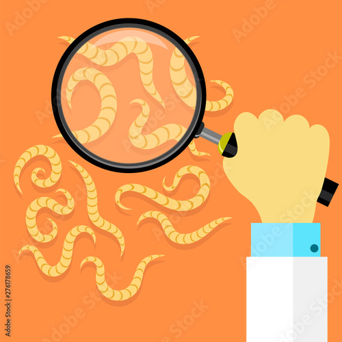 Ascarid, Helminth, Pinworm Threadworm. Set of Parasite on Orange Background