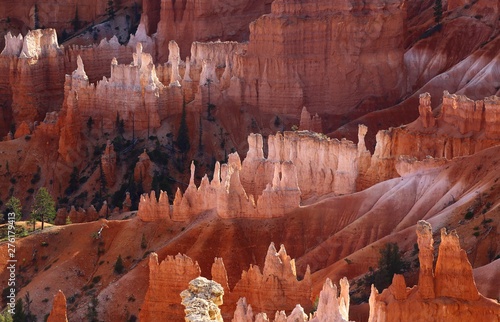 Fotobehang Bryce Canyon Utha USA