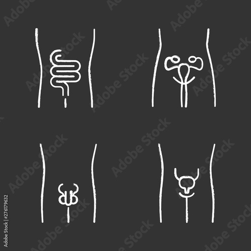 Healthy human organs chalk icons set. Intestines and urinary bladder in good health. Functioning men and women reproductive systems. Fertility. Isolated vector chalkboard illustrations