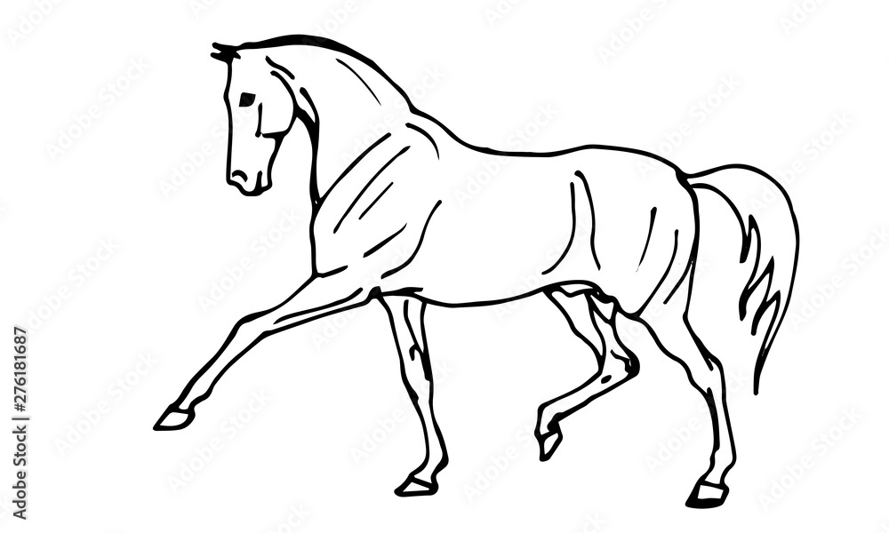  isolated monochrome picture, black-and-white horse on a white background and lettering, ink, pen.