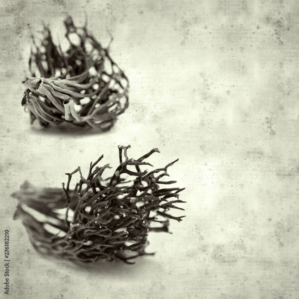 Fototapeta premium old paper background