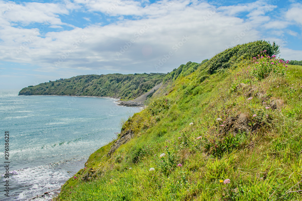 Fototapeta premium The colourful curving summer coast at Peveril Point,Swanage,England