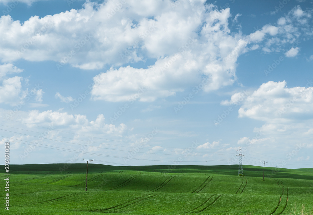 Landscape of countryside field. Green grass and blue sky with clouds Landscape of countryside field. Green grass and blue sky with clouds