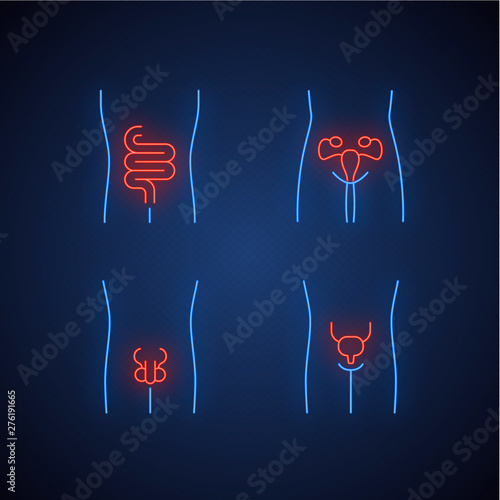 Healthy human organs neon light icons set. Intestines and urinary bladder in good health. Functioning men and women reproductive systems. Fertility. Glowing signs. Vector isolated illustrations