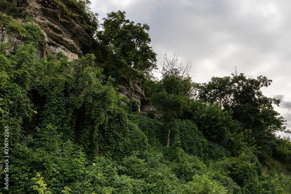A cliff overgrown with greenery and trees against a cloudy sky.