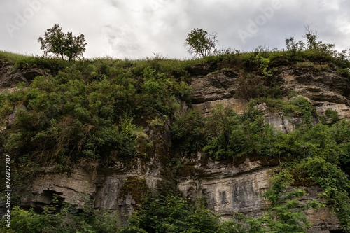 A cliff overgrown with greenery and bushes against a cloudy sky.