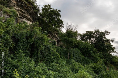 A cliff overgrown with greenery and trees against a cloudy sky.