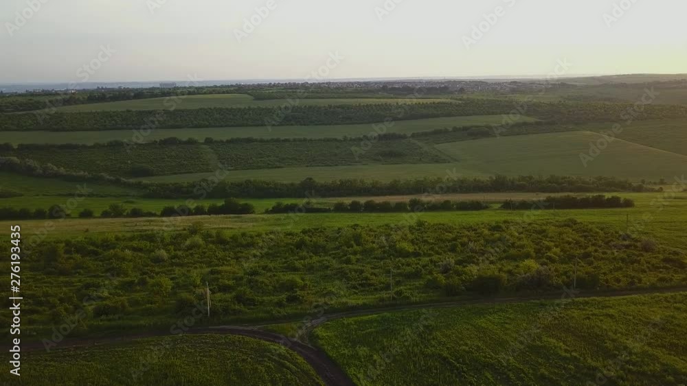 Slow Aerial shot flying over a green field during sunset Slow Aerial shot flying over a green field during sunset