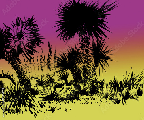 sketching palm trees at sunset © Liliia