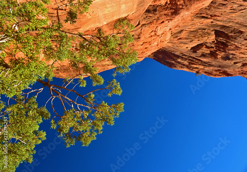 Canyon Sky