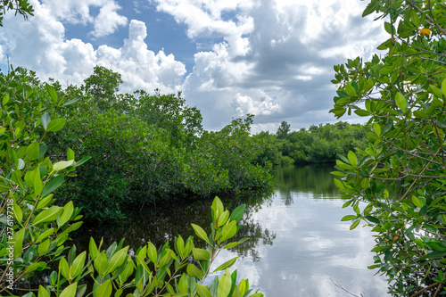 Reserva ecológica Varahicacos. Varadero, Cuba 