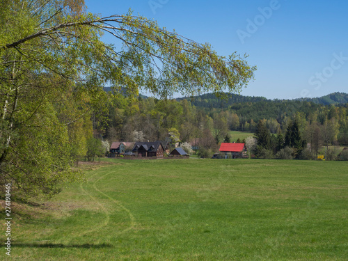 Spring landscape with view on village Marenice in Lusitian mountains with traditional wooden cottage and lush green grass meadow  birch deciduous and spruce tree forest and hills  blue sky background