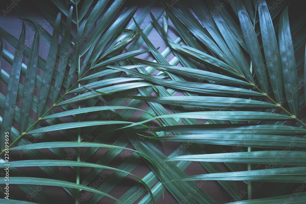 Fototapeta premium Creative layout made of green leaves. Nature background at phuket Thailand