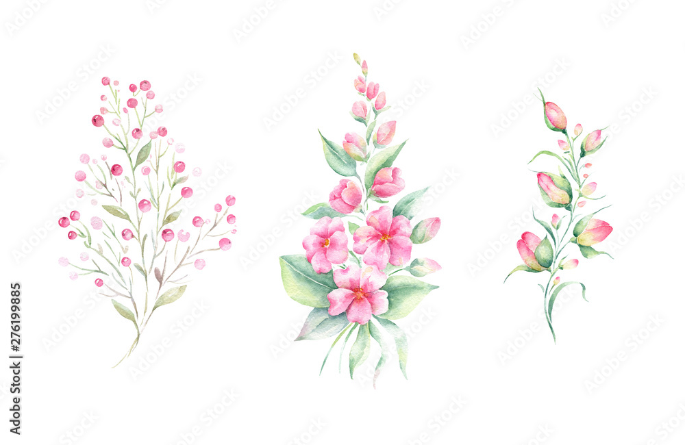 Flowers and leaves of the wildflowers isolated on white background. Watercolor painting for wedding invitations,greeting card and design. Flowers and leaves of the wildflowers isolated on white background. Watercolor painting for wedding invitations,greeting card and design.