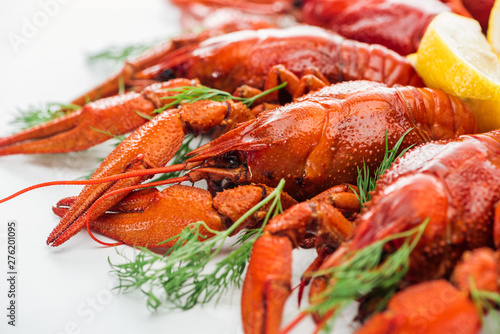 selective focus of red lobsters and green herbs on white background