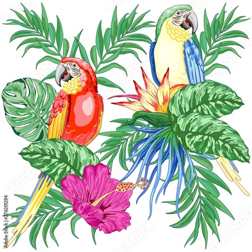 Macaws Parrots Exotic Birds on Tropical Flowers and Leaves Vector Illustration 