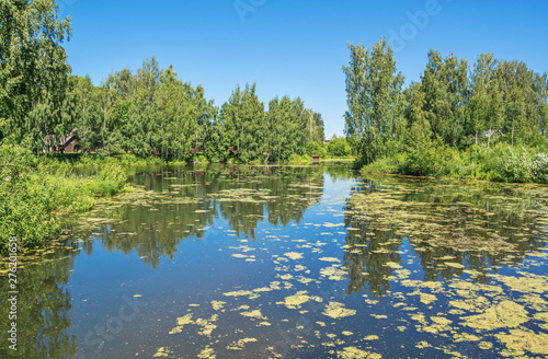 Summer landscape with lake shore and reflection in water