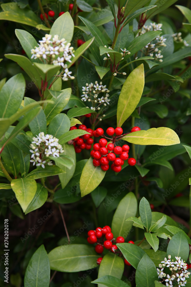 nature, landscape, architecture, automotive, floral, nature, landscape, architecture, automotive, floral,