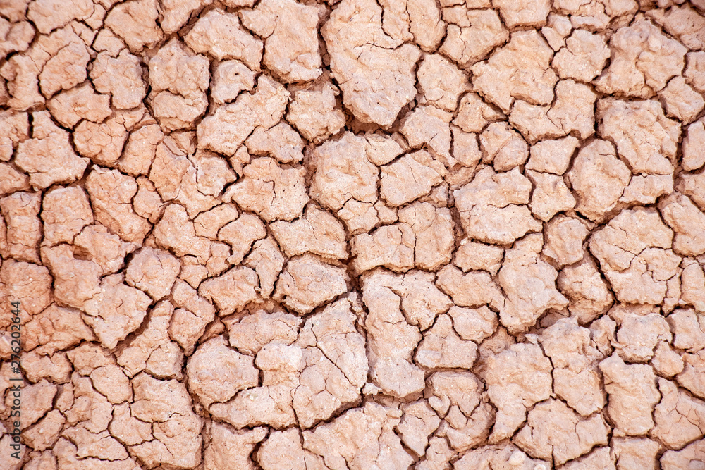cracked earth texture cracked earth texture