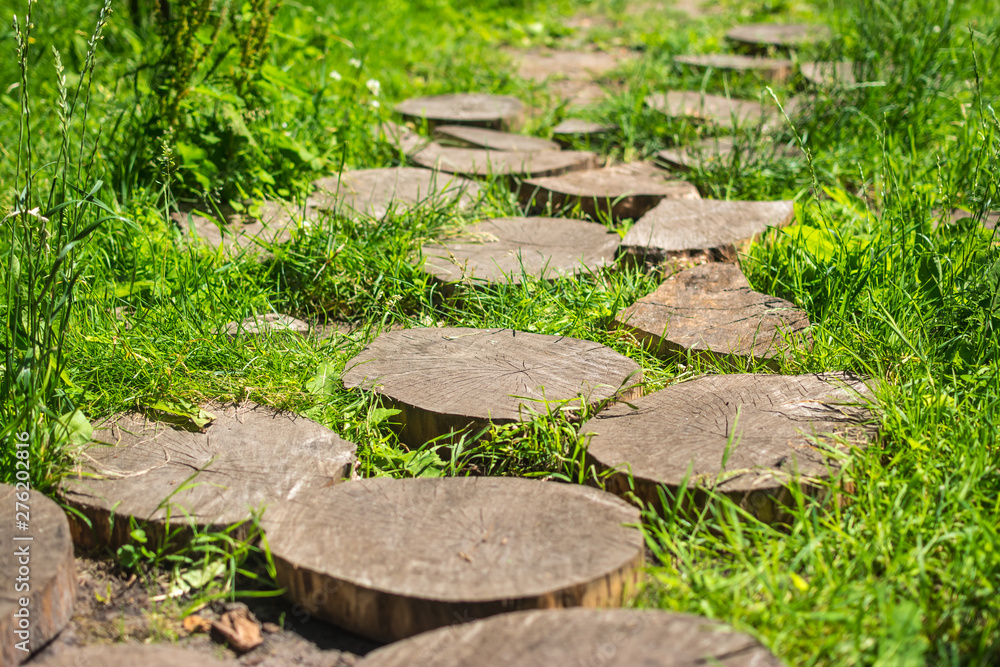 wooden path from the cuts of the tree wooden path from the cuts of the tree