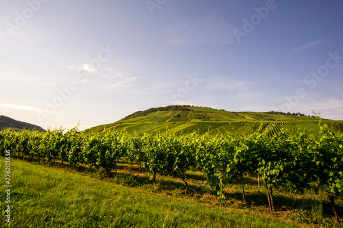 landschaft  himmel  natur  green  gras  feld  blau  cloud  sommer  hills  ackerbau  vineyard  wiese  cloud  wald  b  uerlich  baum  berg  land  hills  wein  bauernhof  baum  fr  hling  panorama