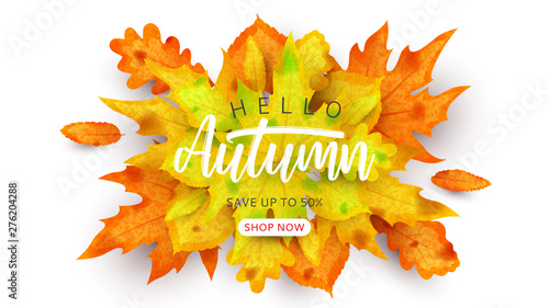 Colorful promo banner for autumn sale. Vector illustration with autumn leaves of rowan, maple, linden and oak on white background. Seasonal discount offer.