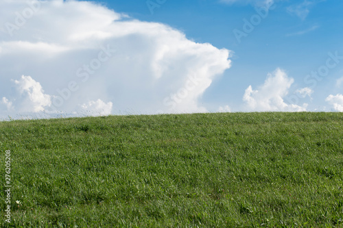 Bilderbuch Wiese mit blauen Himmel  bew  lkt