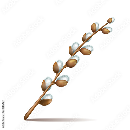 Spring twigs easter blossom pussy willow tree