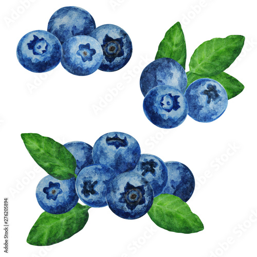Set of ripe blueberries with leaves, hand drawn watercolor illustration.