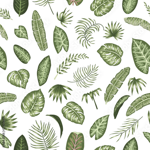 Vector seamless pattern of green tropical leaves on white background. Summer repeat tropical backdrop. Exotic jungle ornament..