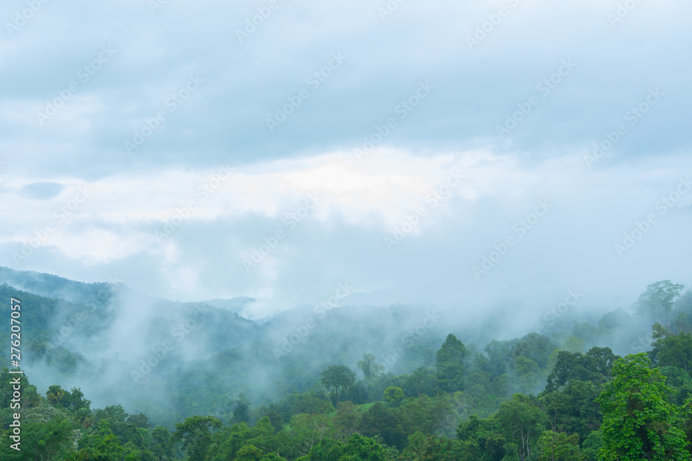 Landscape of foggy on the mountain. Landscape of foggy on the mountain.